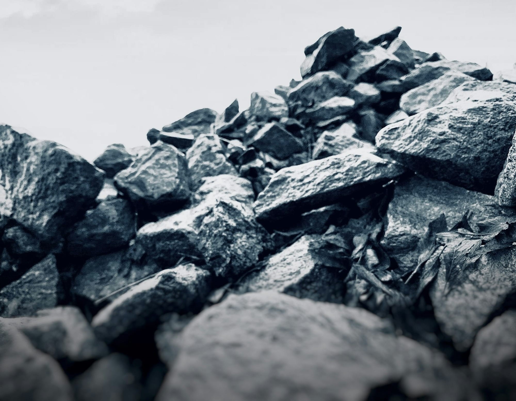 Collapse of a bridge in Baltimore pushes up coal prices