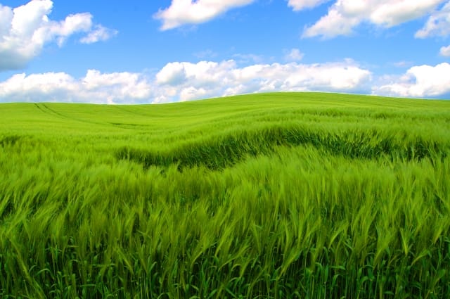 OECD energy ministers fail to reach agreement on climate targets