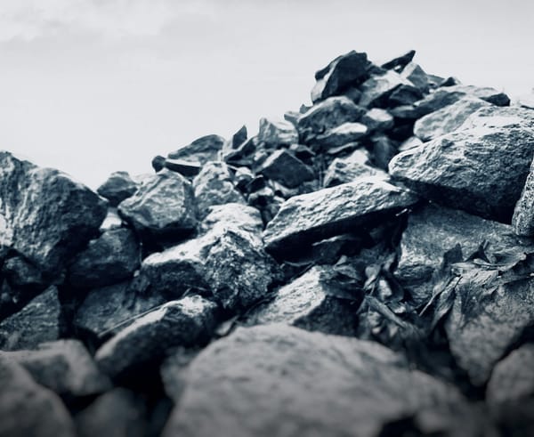 L’effondrement d’un pont à Baltimore fait monter les prix du charbon