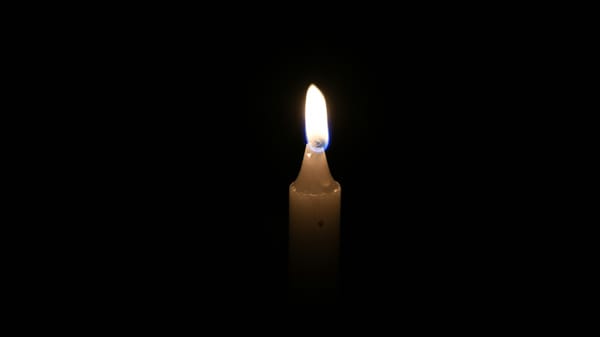 Experts differ on the reasons for the blackout