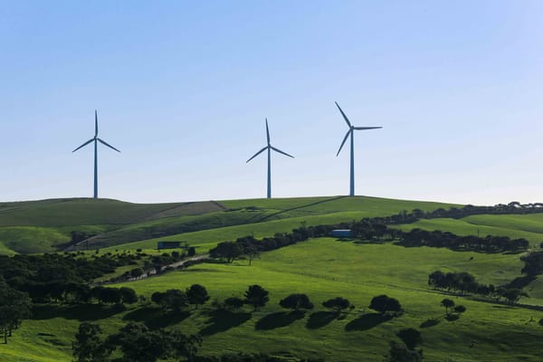 The British government awards generous contracts for wind power